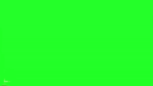 3D Scene