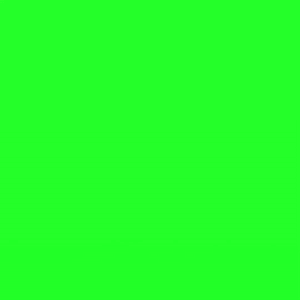 Logo Intro Animated